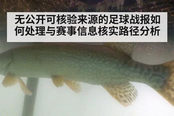 无公开可核验来源的足球战报如何处理与赛事信息核实路径分析